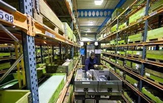 干货解析 劳务服务中不能抵扣的14种进项税额及会计处理