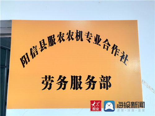 合作社里的新引擎 阳信流坡坞镇组建劳务服务部，铺就家门口的就业路